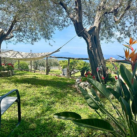 Villa Raf Vico Equense Exterior photo